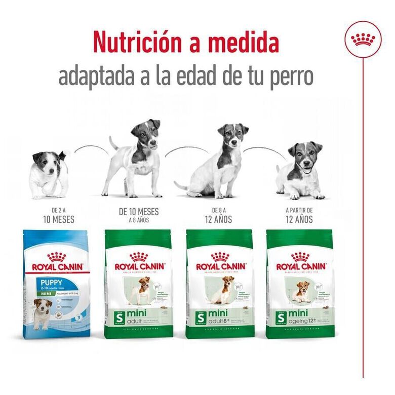 Royal Canin Mini 8+ Adult pienso para perros thumbnail