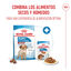 140 g Royal Canin Medium Puppy Sobres, , large indicador imagen numero 4