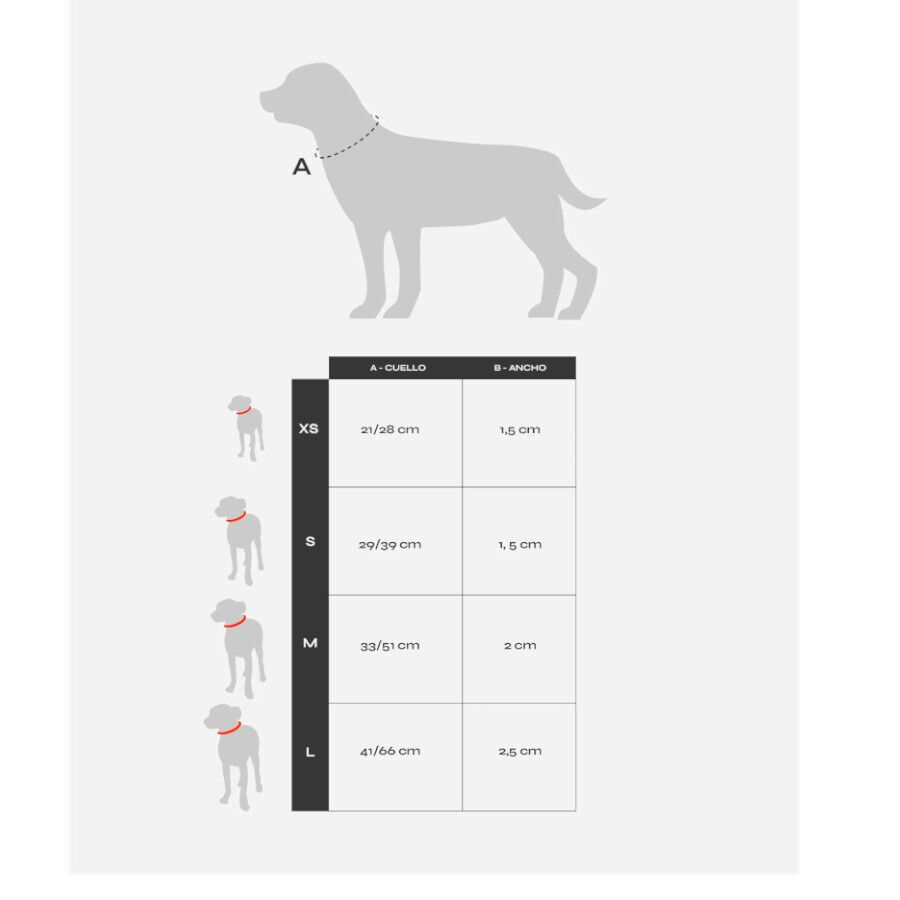 Dukier Collar Estampado Tortugas para perros, , large Imagen numero 3