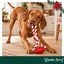 Wonder Christmas Hueso con Cuerda Juguete para perros, , large indicador imagen numero 2