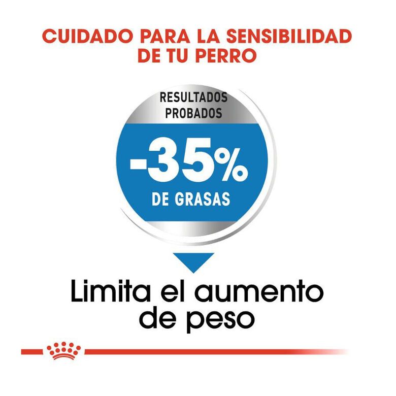 Royal Canin Light Weight Care Maxi pienso para perros thumbnail