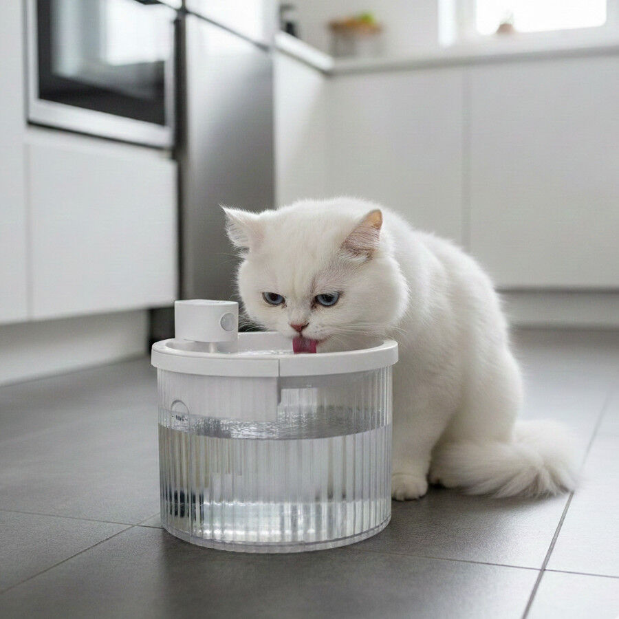 All For Paws Lifestyle Fuente Inhal&aacute;mbrica para perros y gatos, , large Imagen numero 1