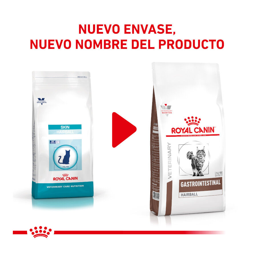 2 kg Royal Canin Veterinary Gastrointestinal Hairball pienso para gatos, , large Imagen numero 2