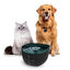 Cecotec Pumba 2200 Refresh Bebedero Automático para perros y gatos, , large indicador imagen numero 4