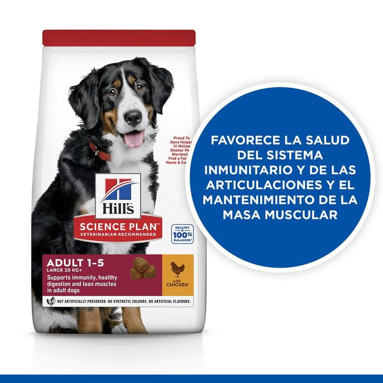 Hill&#039;s Science Plan Adult Large Pollo pienso para perros thumbnail
