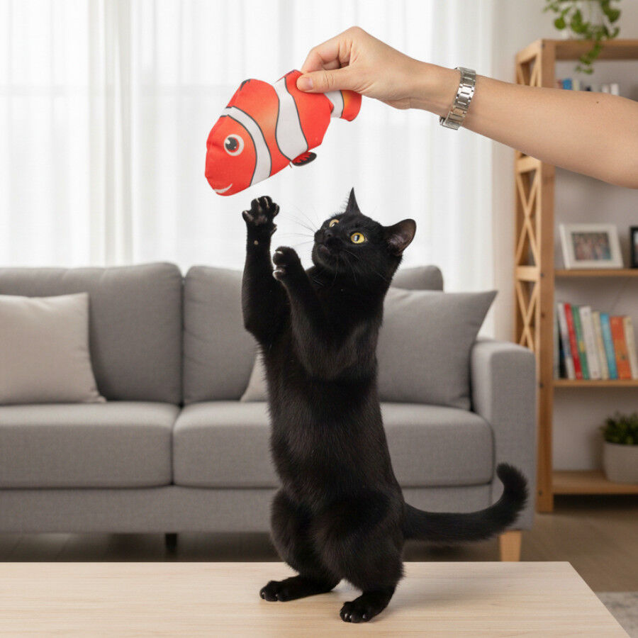 Tootoy! Juguete Interactivo Pez Payaso para gatos, , large Imagen numero 1