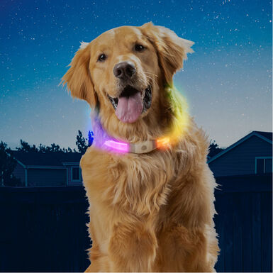 Nite Ize NiteHowl Max Collar de Seguridad LED para perros