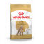 7.5 kg Royal Canin Adult Poodle pienso para perros, , large indicador imagen numero 1