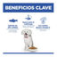 6 kg Hill's Science Plan Hipoalergénico Small y Mini Salmón pienso para perros, , large indicador imagen numero 4