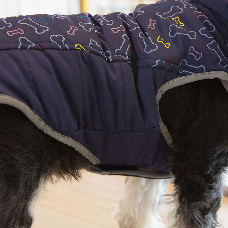 Outech Abrigo Azul con Estampado de Huesos para perros thumbnail