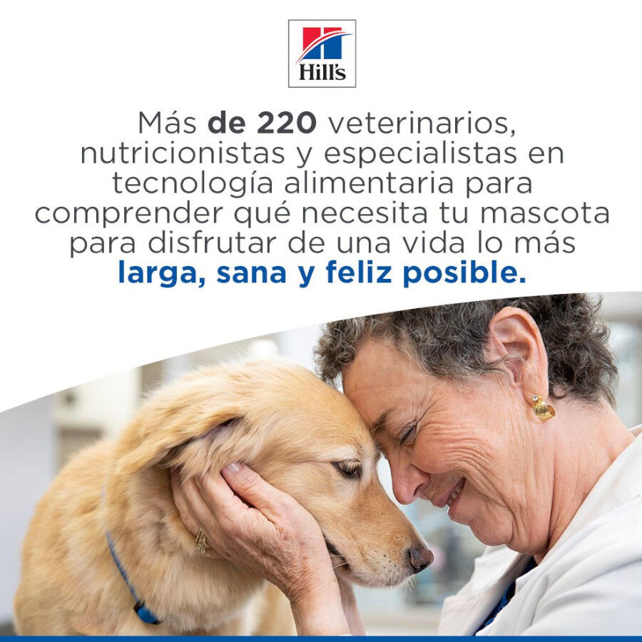 363 g Hill's Science Plan Adult Estofado con vacuno y verduras lata para perros, , large Imagen numero 6