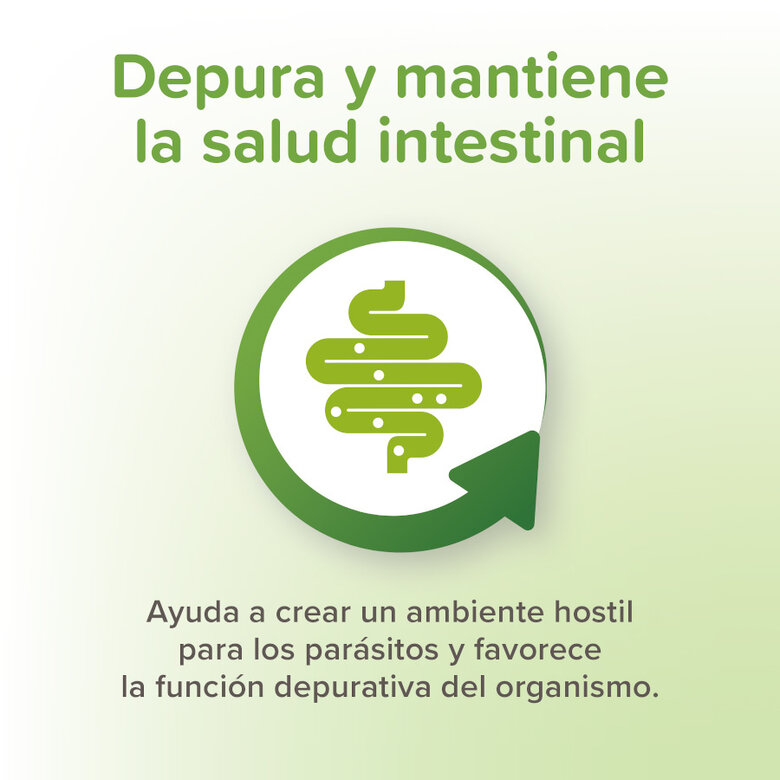 125 g Beaphar Vermipure Desparasitante pasta para perros,  Imagen numero 4 125 g Beaphar Vermipure Desparasitante pasta para perros, , large Imagen numero 4