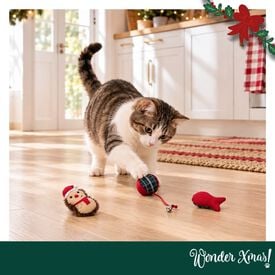 Wonder Christmas Set Erizos Juguete para gatos