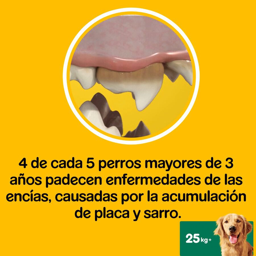 Pedigree Dentastix Fresh Snacks Dentales para Perros Grandes thumbnail
