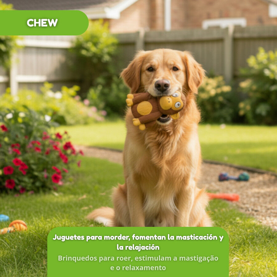 Tootoy! Chimpancé Mordedor con Sonido para perros thumbnail