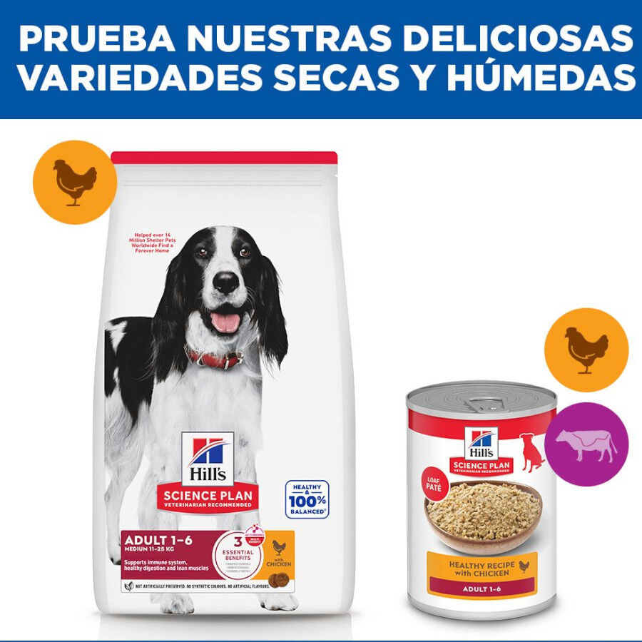 14 kg Hill's Science Plan Adult Medium Pollo pienso para perros, , large Imagen numero 9