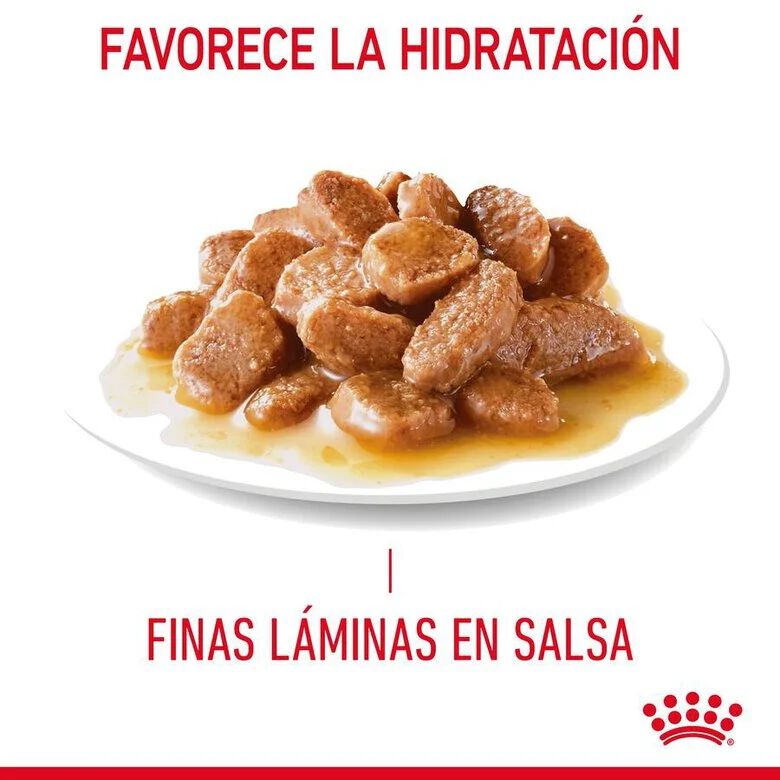 Royal Canin Hair and Skin sobre en salsa para gatos thumbnail