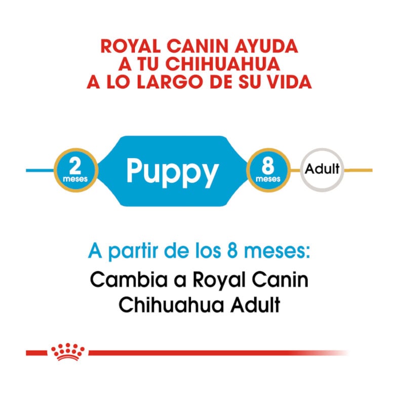 1.5 kg Royal Canin Puppy Chihuahua pienso para cachorros,  Imagen numero 7 1.5 kg Royal Canin Puppy Chihuahua pienso para cachorros, , large Imagen numero 7