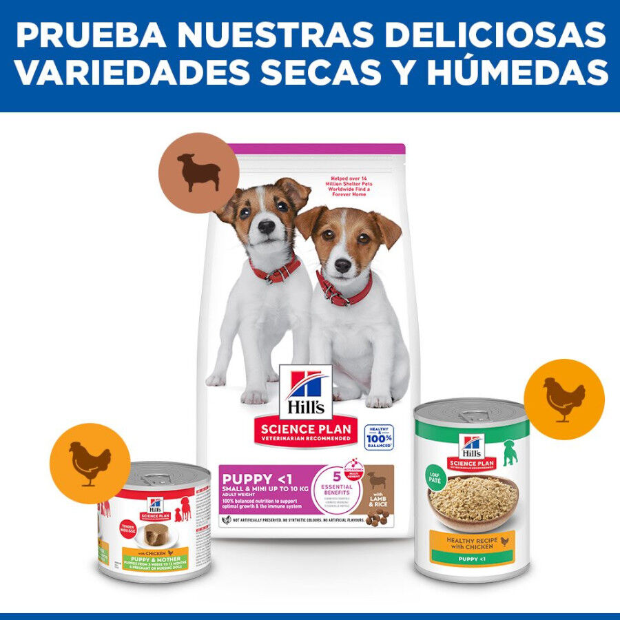 6 kg Hill's Science Plan Puppy Small y mini Cordero y arroz para perros, , large Imagen numero 8