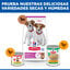 6 kg Hill's Science Plan Puppy Small y mini Cordero y arroz para perros, , large indicador imagen numero 8