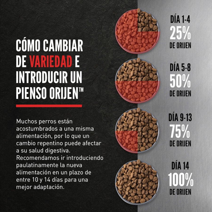 Orijen Large Breed Adult Pienso para perros thumbnail