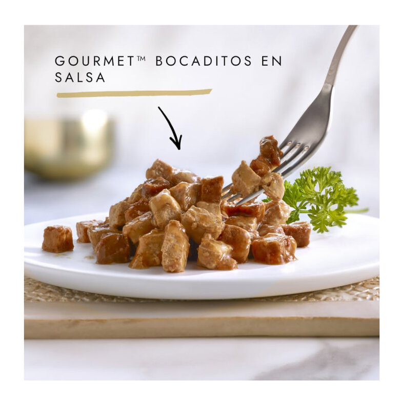 85 g Gourmet Gold Bocaditos Salmón y Pollo para gatos,  Imagen numero 2 85 g Gourmet Gold Bocaditos Salmón y Pollo para gatos, , large Imagen numero 2