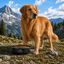 Outech X-perience Comedero Plegable Portatil para perros, , large indicador imagen numero 2