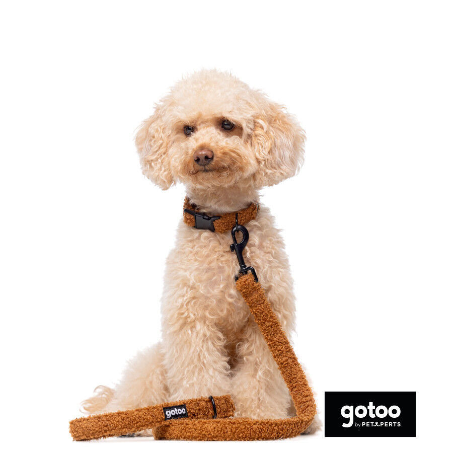 Gotoo Collar teddy marr&oacute;n para perros, , large Imagen numero 5