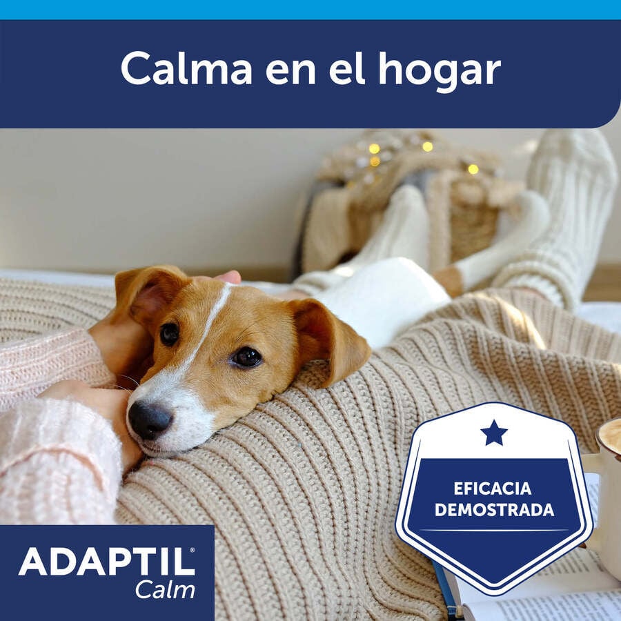 Adaptil Difusor y Recambio Tranquilizante para perros thumbnail