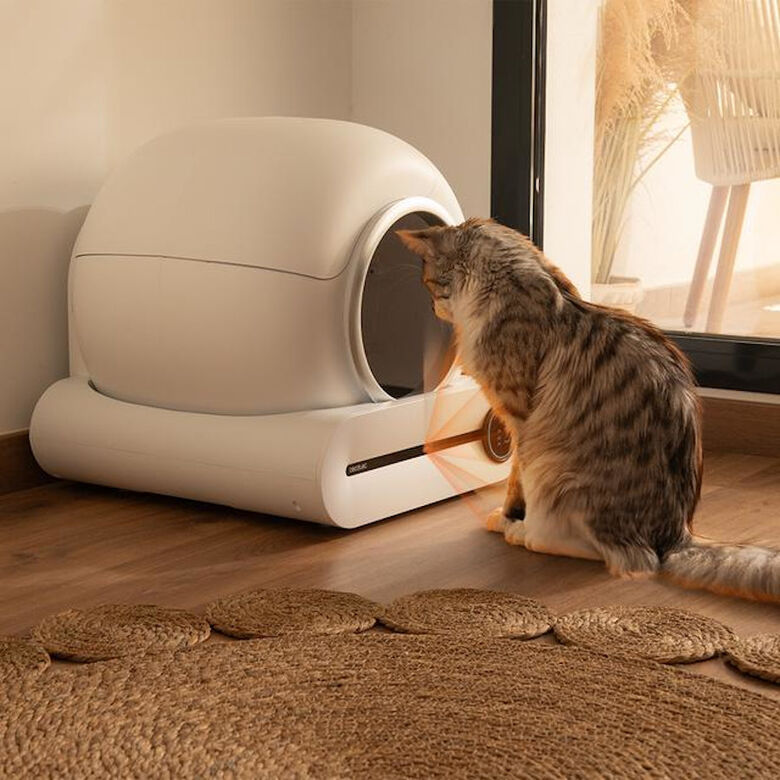 Cecotec Pumba 8000 CleanKitty Smart Arenero Autolimpiable para gatos thumbnail