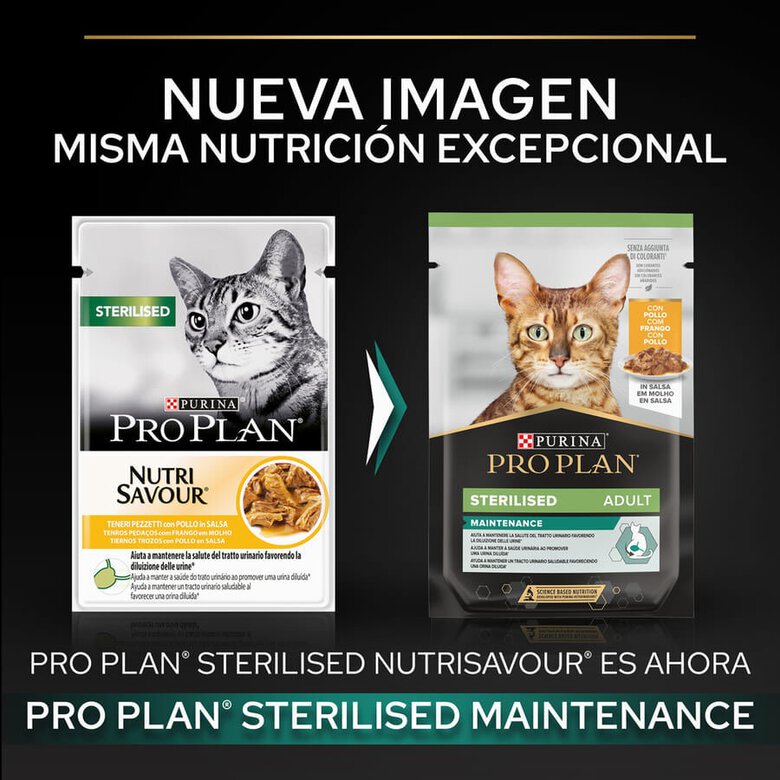 85 g Pro Plan Sterilised Maintenance sobre con Pollo en salsa para gatos,  Imagen numero 2 85 g Pro Plan Sterilised Maintenance sobre con Pollo en salsa para gatos, , large Imagen numero 2