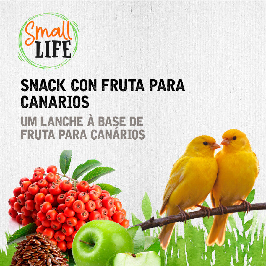 2 barritas Small Life Barritas Snack con Fruta para canarios, , large Imagen numero 4