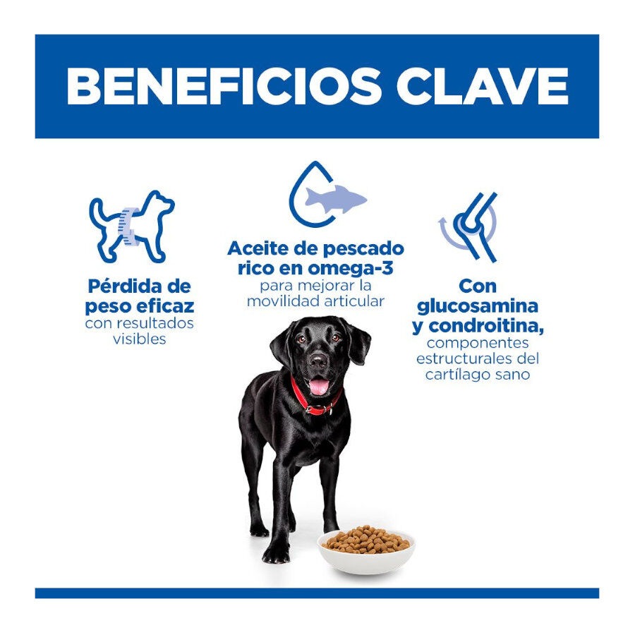 12 kg Hill's Science Plan Perfect weight y Active Mobility pollo pienso para perros grandes, , large Imagen numero 3