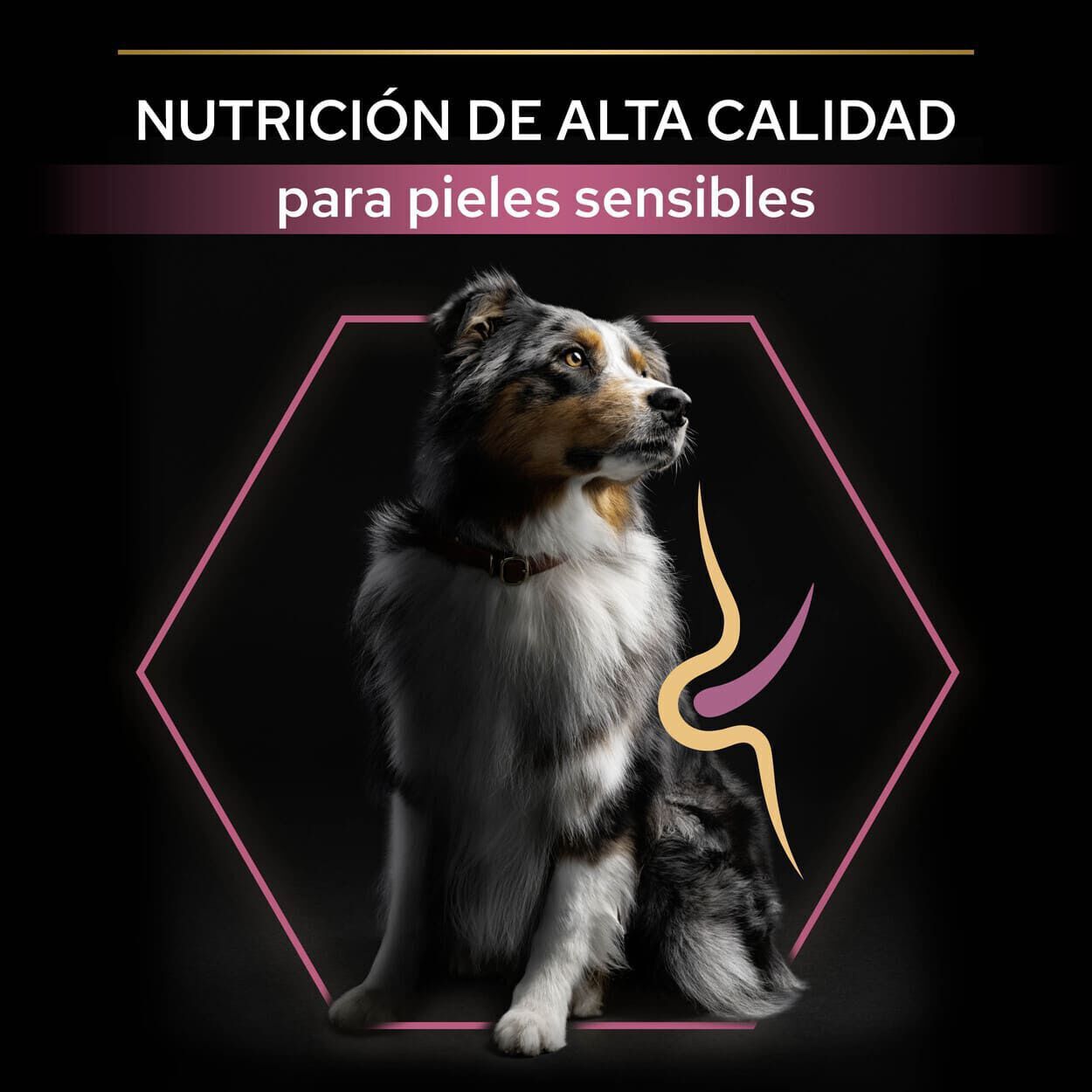 Pro Plan Adult Medium Sensitive Skin Salmón pienso para perros thumbnail