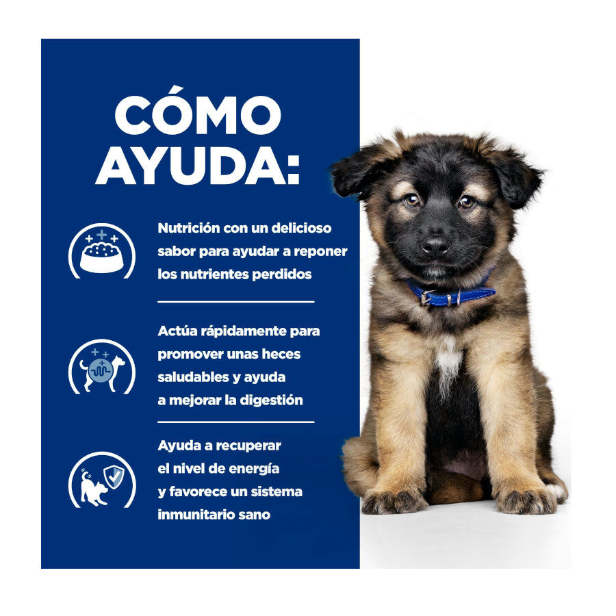 Hill&#039;s Prescription Diet I/D Digestive Care Puppy Pienso Seco Pollo para perros thumbnail