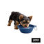 Gotoo Comedero Plegable y Port&aacute;til de Silicona Azul para perros y gatos, , large indicador imagen numero 7