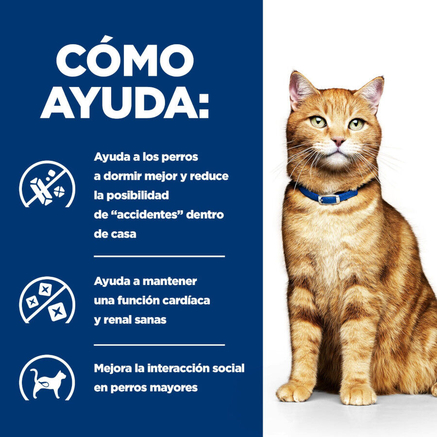 8 kg Hill's Prescription Diet Urinary Care c/d Pollo pienso para gatos, , large Imagen numero 4