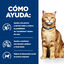 8 kg Hill's Prescription Diet Urinary Care c/d Pollo pienso para gatos, , large indicador imagen numero 4