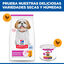 200 g Hill's Science Plan Mature Small & Mini Mousse de Pollo lata para perros, , large indicador imagen numero 5