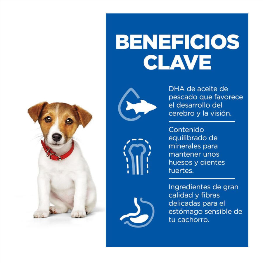 Hill&#039;s Science Plan Puppy Small y mini Cordero y arroz para perros thumbnail