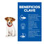 Hill's Science Plan Puppy Small y mini Cordero y arroz para perros, , large indicador imagen numero 2