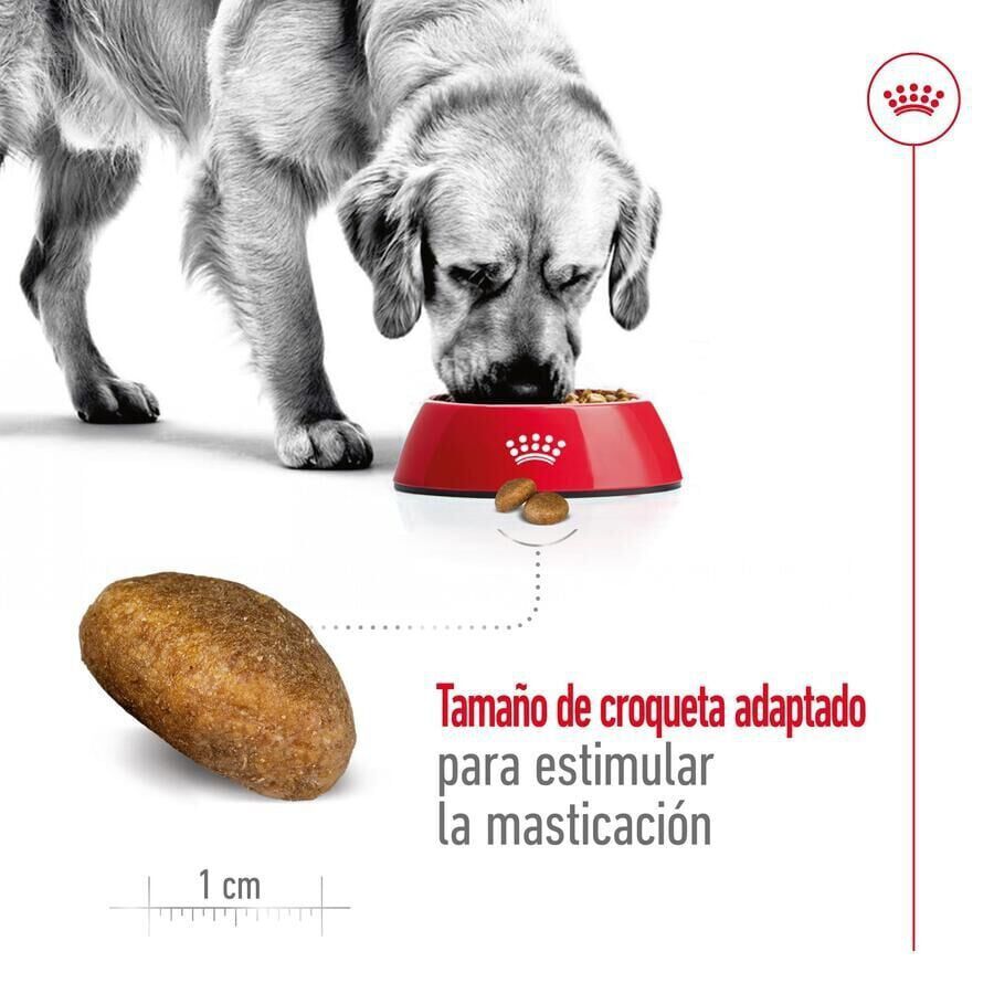 Royal Canin Maxi Adult pienso para perros thumbnail
