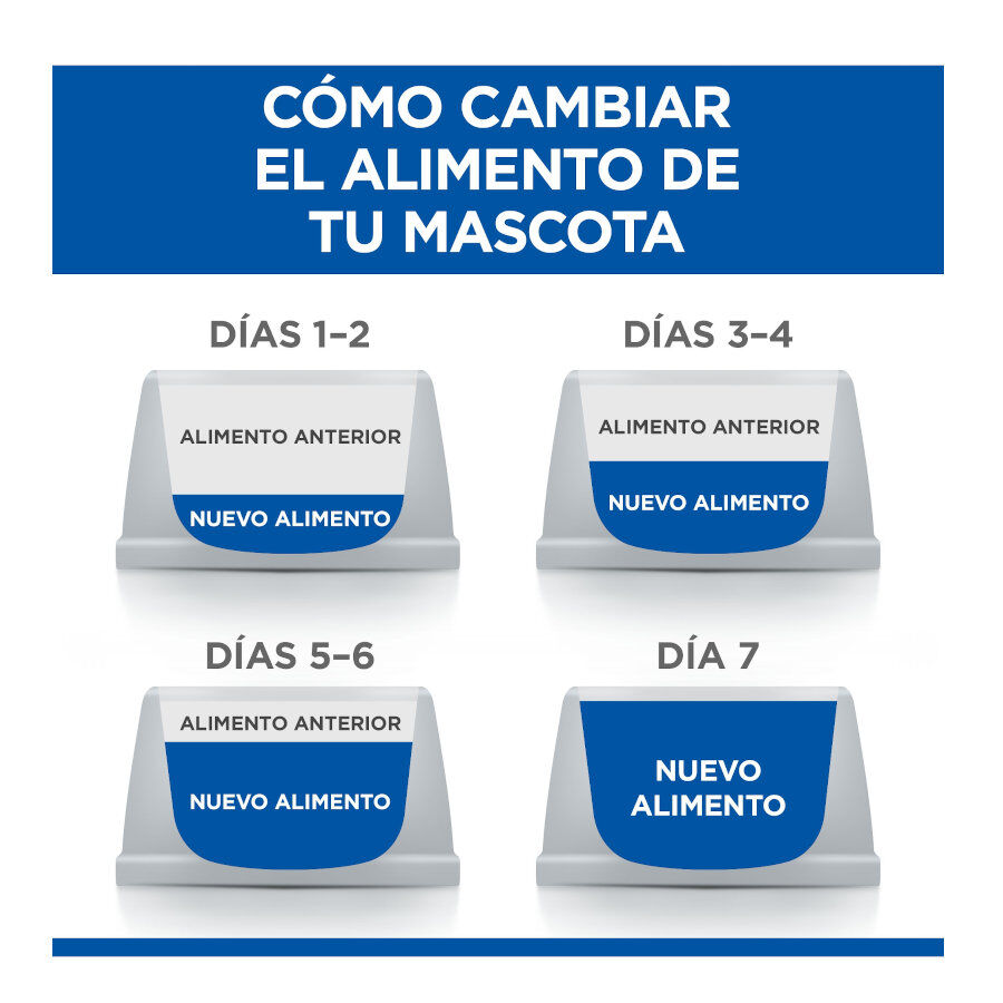 12 sobres x 85 g Hill's Science Plan Kitten Pollo y Pavo en Salsa sobre para gatos, , large Imagen numero 6