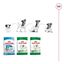 9 kg (8 + 1 kg grátis!) Royal Canin Mini Adult pienso para perros, , large indicador imagen numero 11