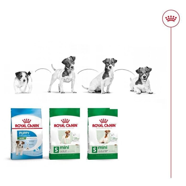 8 kg Royal Canin Mini Adult pienso para perros,  Imagen numero 11 8 kg Royal Canin Mini Adult pienso para perros, , large Imagen numero 11