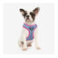 DC Arnés Estampado Supergirl para perros , , large indicador imagen numero 2
