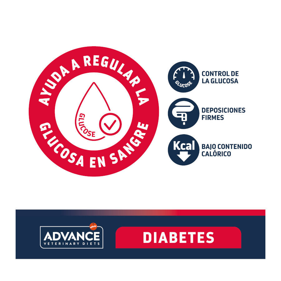 Advance Veterinary Diets Diabetes pienso para perros thumbnail