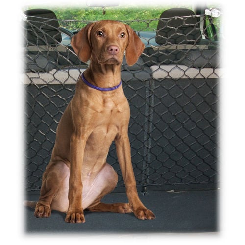 Freedog ajustable red de seguridad para coches Imagen numero 1