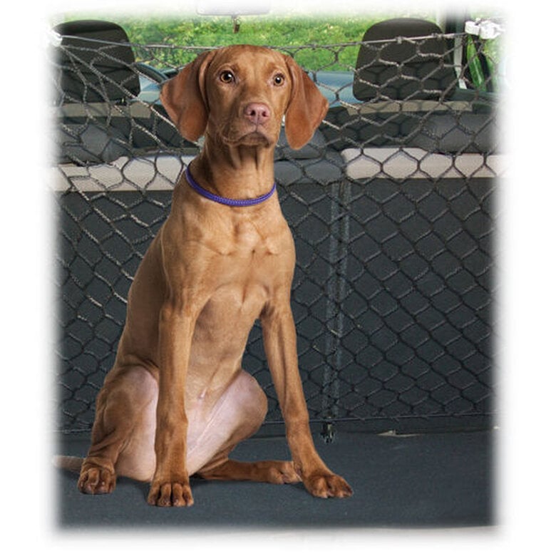 Freedog ajustable red de seguridad para coches Imagen numero 1 Freedog ajustable red de seguridad para coches Imagen numero 1