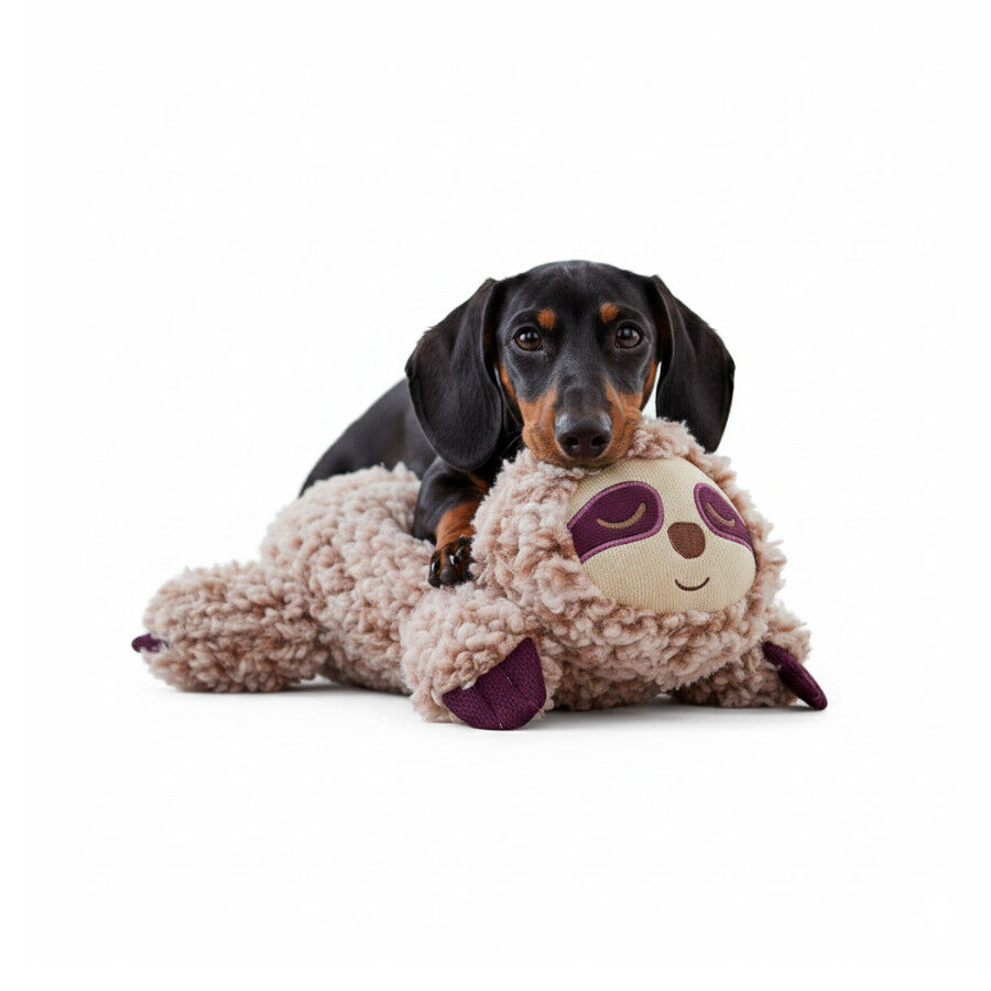 All For Paws Calming Pals Perezoso con Lavanda Juguete para perros thumbnail